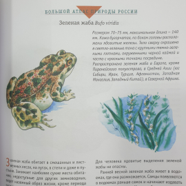 Большой атлас природы России, Ридерз Дайджест, Китай, 2007г.. Картинка 14