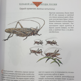 Большой атлас природы России, Ридерз Дайджест, Китай, 2007г.. Картинка 19