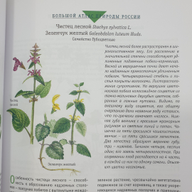 Большой атлас природы России, Ридерз Дайджест, Китай, 2007г.. Картинка 21