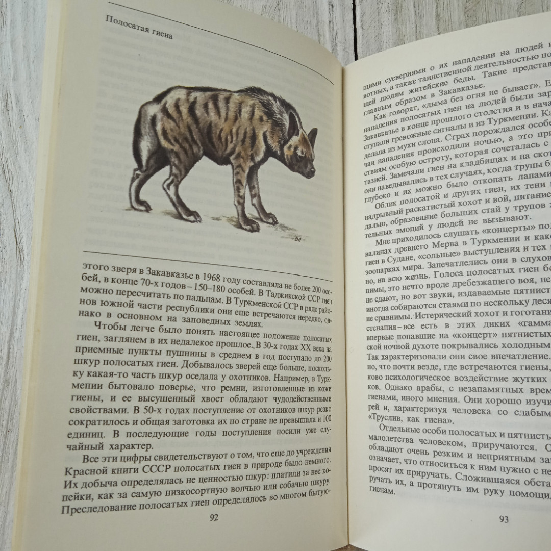 Купить Редкие и исчезающие животные, П.Сосновский, из-во Металлургия,  Москва, 1987 в интернет магазине GESBES. Характеристики, цена | 69566.  Адрес Московское ш., 137А, Орёл, Орловская обл., Россия, 302025