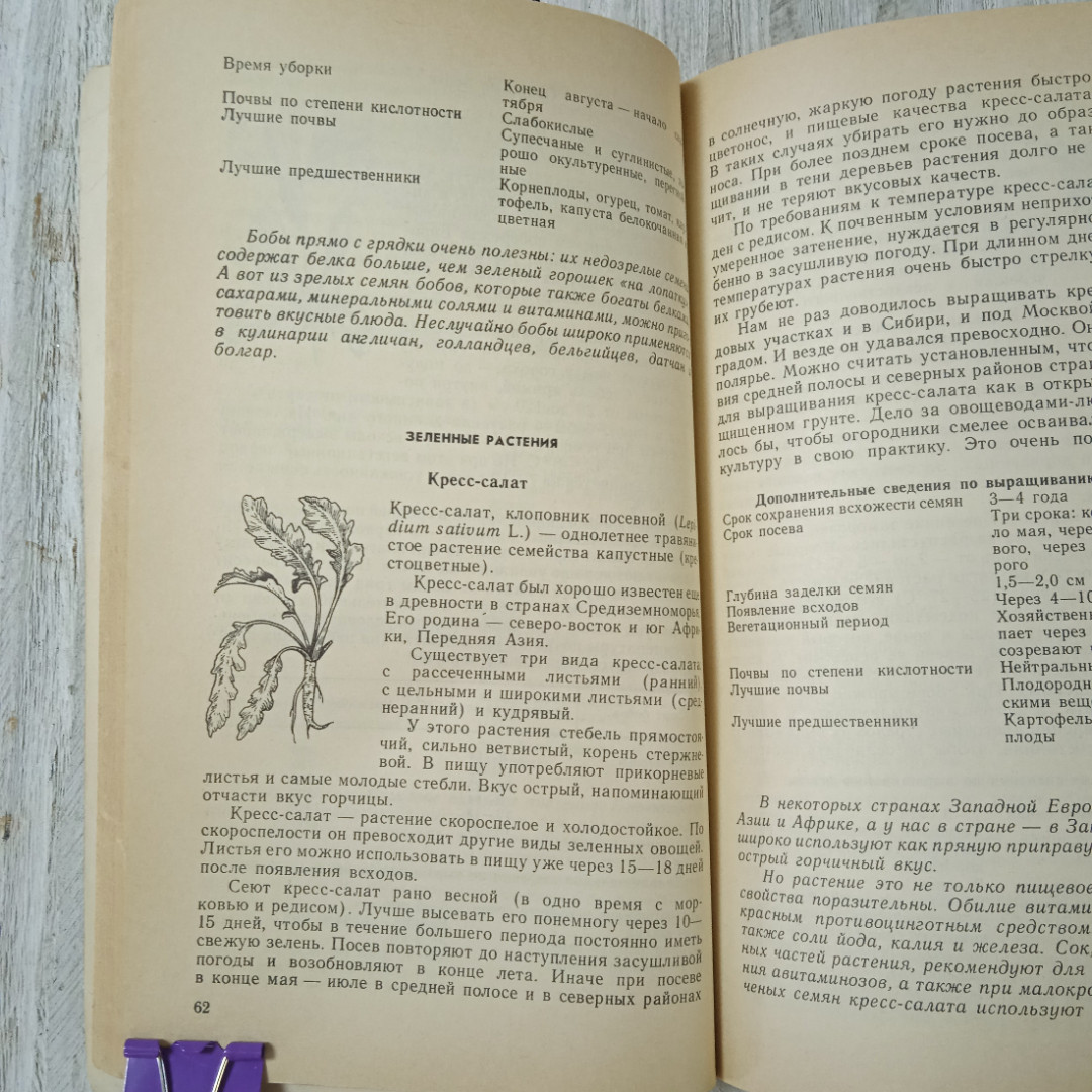 Погода, огород и сад любителя, А.И.Коровин, О.Н.Коровина, из-во Гидрометеоиздат, Ленинград, 1989. Картинка 6