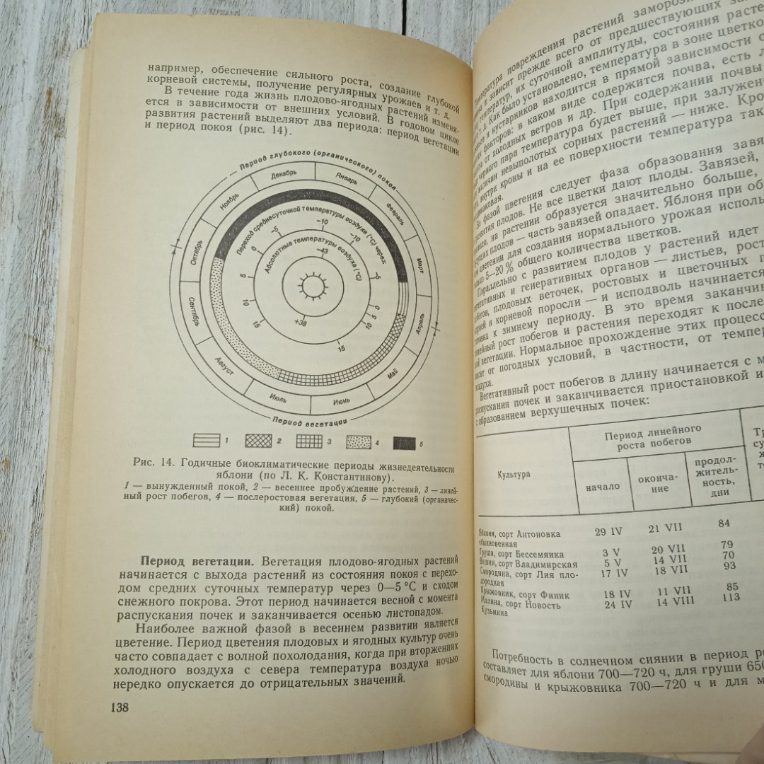 Погода, огород и сад любителя, А.И.Коровин, О.Н.Коровина, из-во Гидрометеоиздат, Ленинград, 1989. Картинка 9