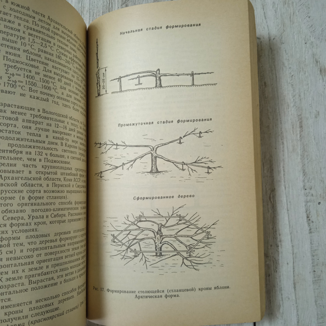 Погода, огород и сад любителя, А.И.Коровин, О.Н.Коровина, из-во Гидрометеоиздат, Ленинград, 1989. Картинка 10