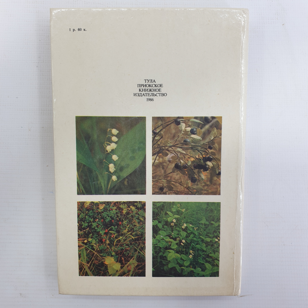 А.С. Резникова, В.И. Лернер "Лекарственные растения Приокской зоны", 1986г.. Картинка 2