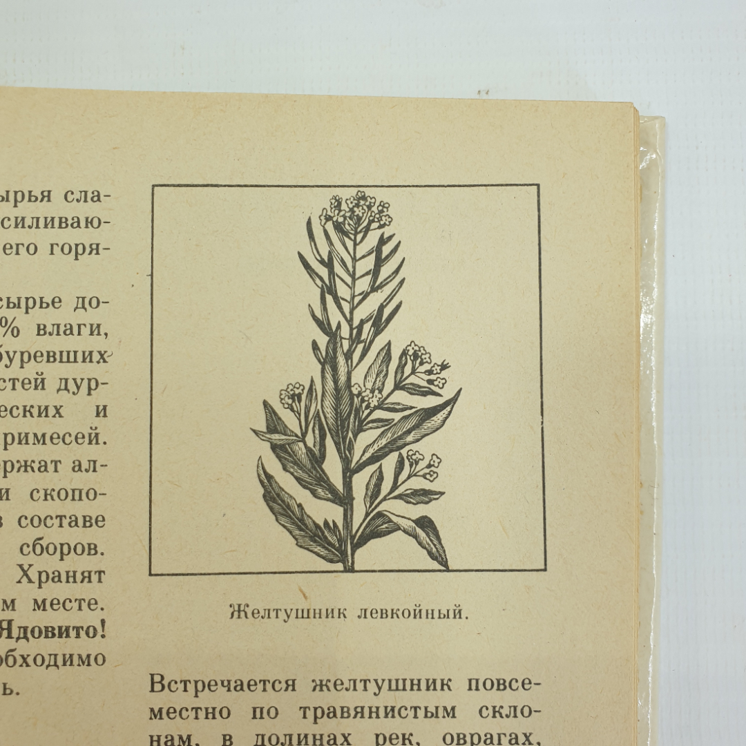 А.С. Резникова, В.И. Лернер "Лекарственные растения Приокской зоны", 1986г.. Картинка 5