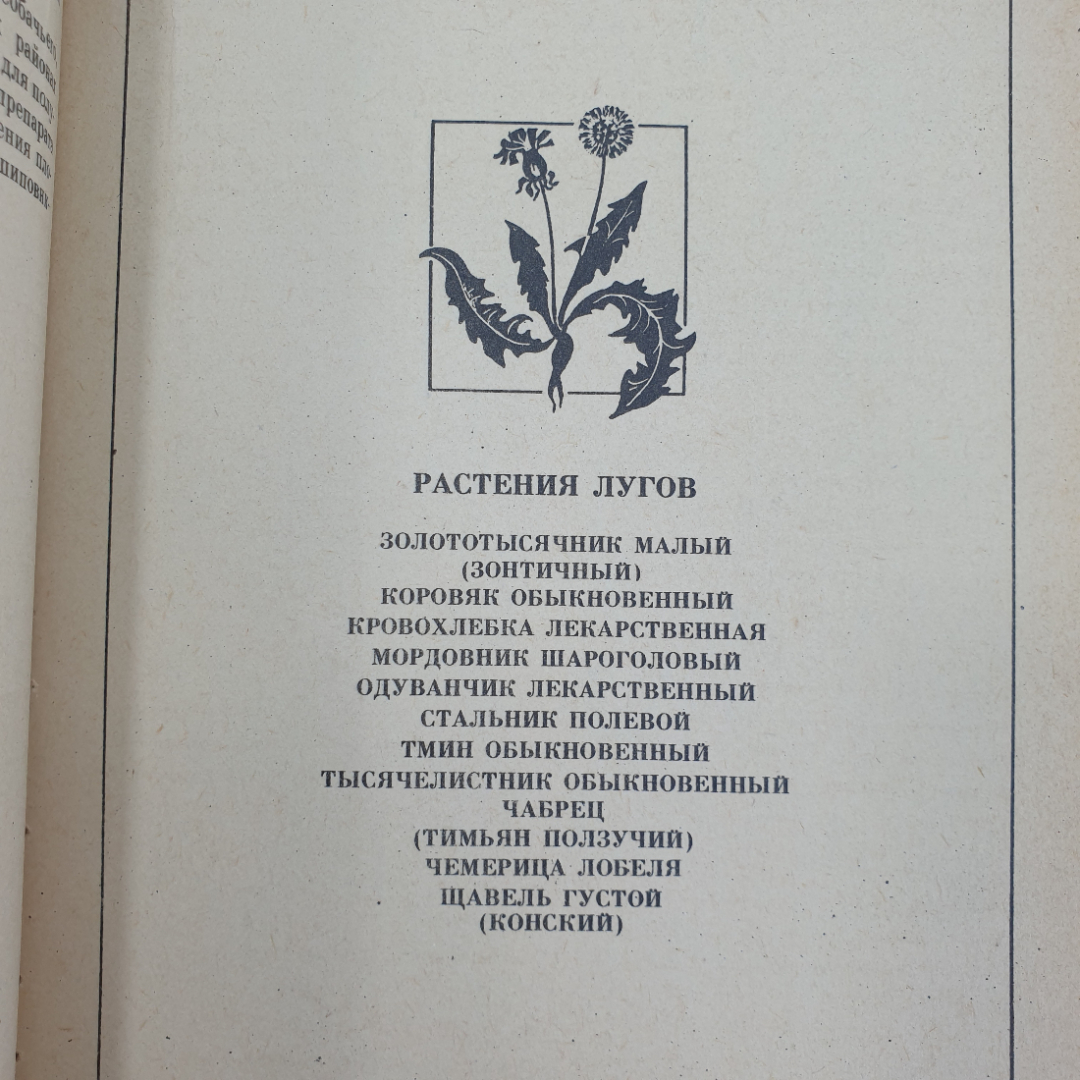 А.С. Резникова, В.И. Лернер "Лекарственные растения Приокской зоны", 1986г.. Картинка 11