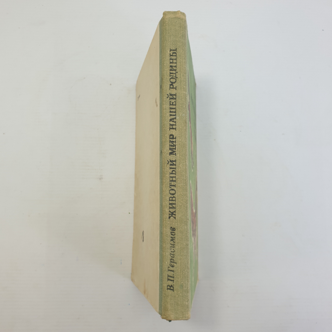 В.П. Герасимов "Животный мир нашей родины", Москва, Просвещение, 1977г.. Картинка 3