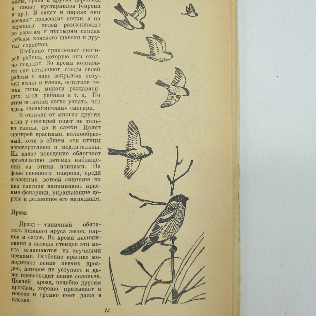 В.П. Герасимов "Животный мир нашей родины", Москва, Просвещение, 1977г.. Картинка 7