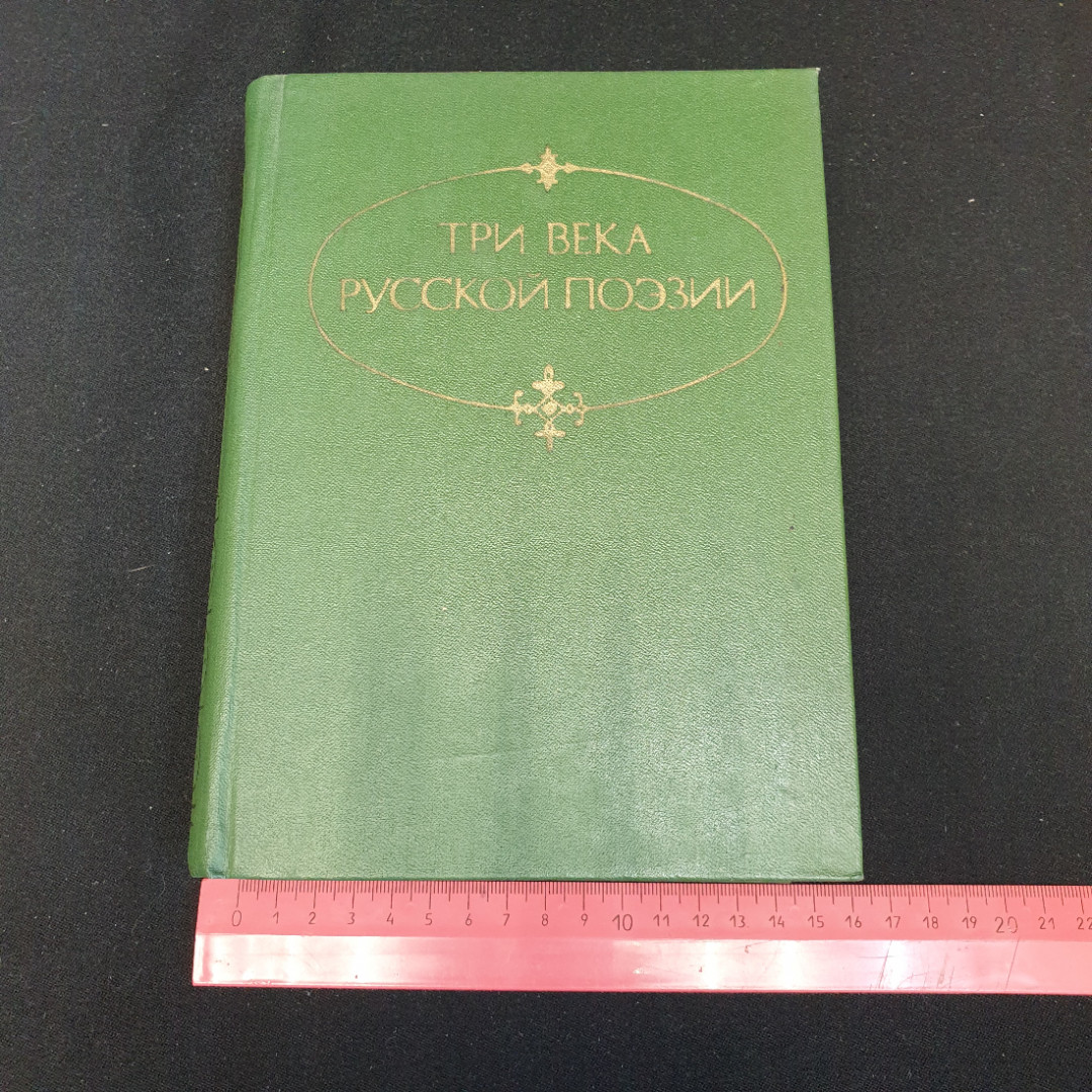 Три века Русской поэзии Н.В.Банников. Картинка 12