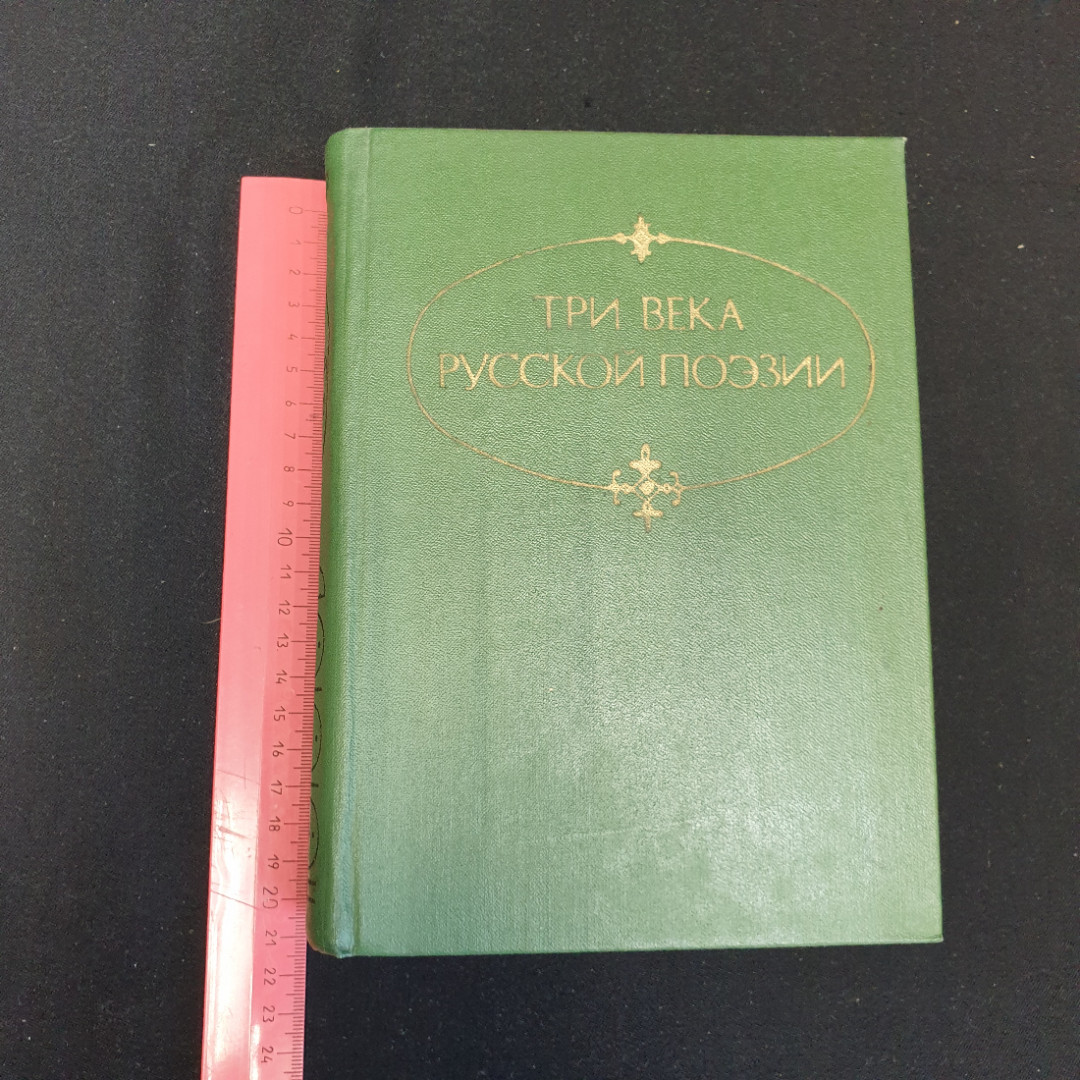 Три века Русской поэзии Н.В.Банников. Картинка 13