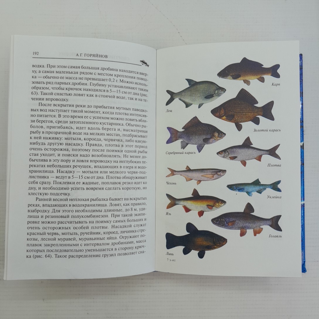 Спортивная ловля карповых • Мир Рыбалки А.Г.Горяйнов "Вече" 2004г.. Картинка 4