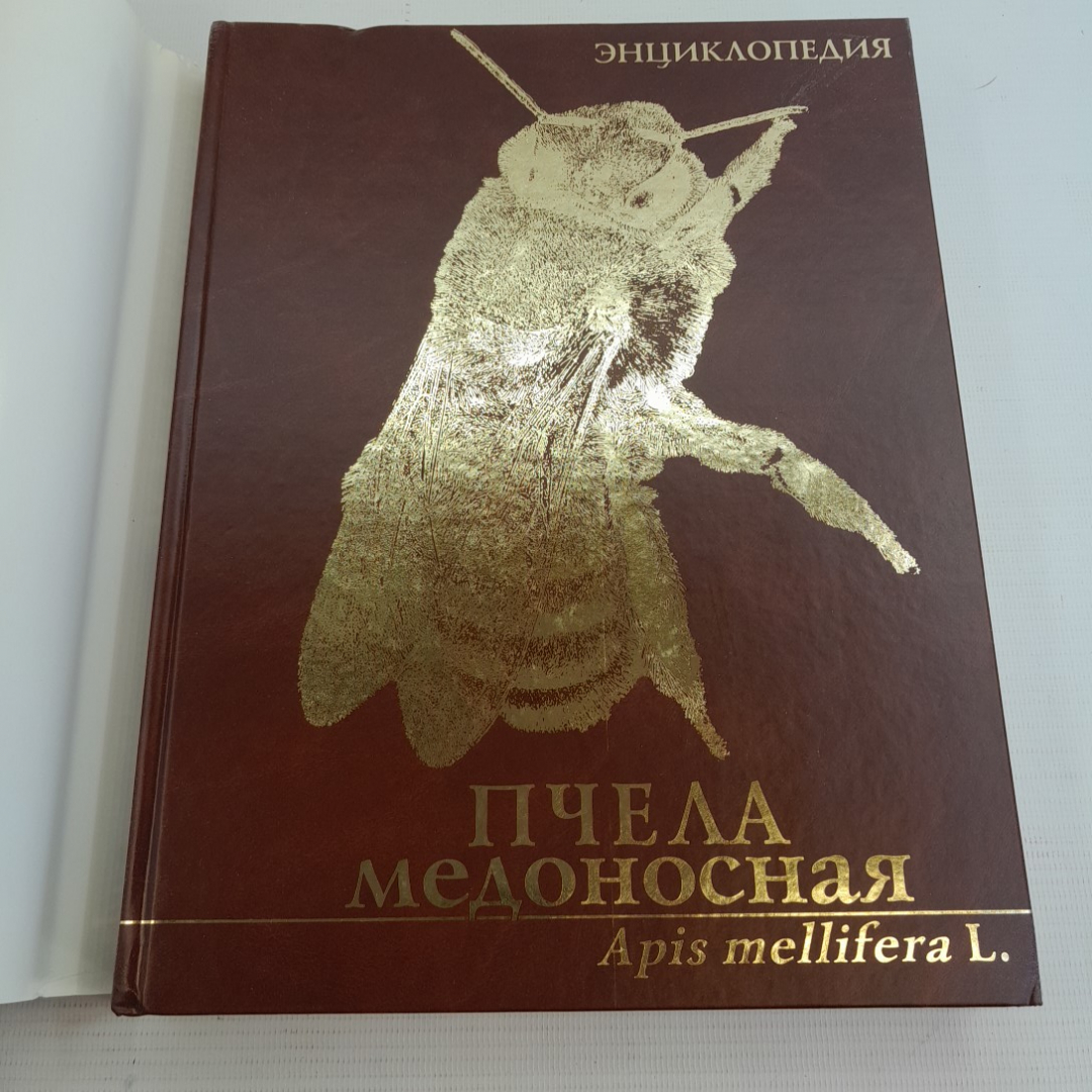 Энциклопедия • Пчела медоносная. Изд. Константа, 2005г. Картинка 2