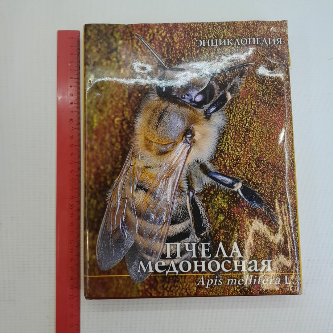 Энциклопедия • Пчела медоносная. Изд. Константа, 2005г. Картинка 13