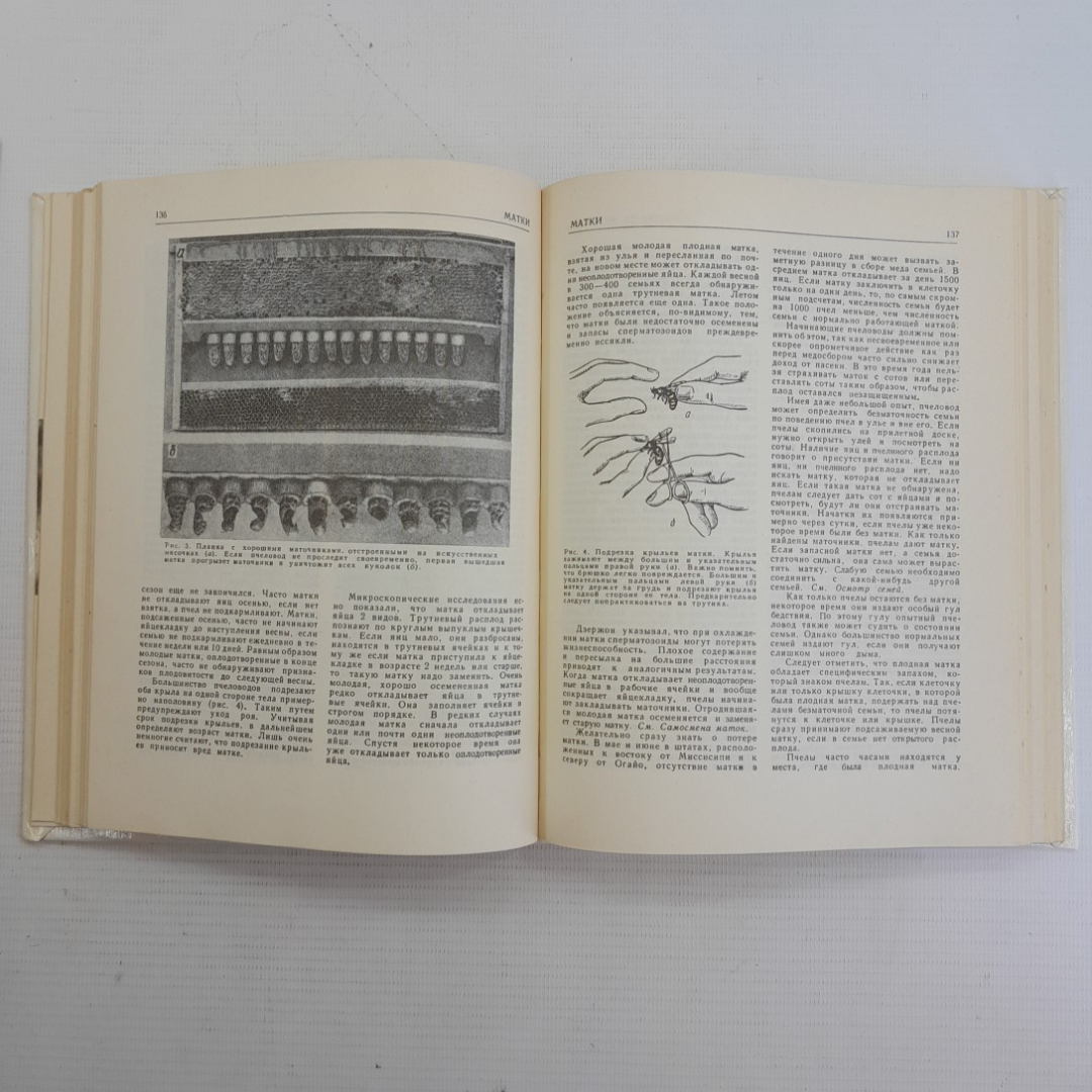 Энциклопедия пчеловодства. А.И.Рут, Э.Р.Рут, Х.Х.Рут, М.Дж.Дейелл, Дж.А.Рут, 1993г. Картинка 4