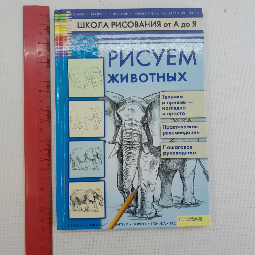 Купить Школа рисования от А до Я • Рисуем животных. А.А.Марковская, 2012г в  интернет магазине GESBES. Характеристики, цена | 76041. Адрес Московское  ш., 137А, Орёл, Орловская обл., Россия, 302025