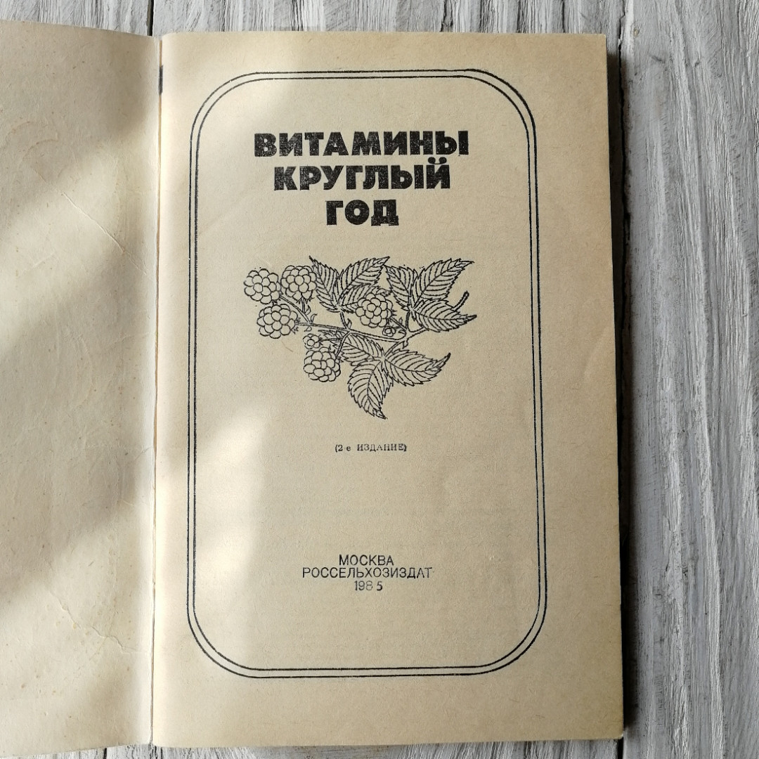 К.С. Петровский, Д.П. Белоусов, А.С. Беляева, Н.Н. Смирнова. "Витамины круглый год", 1984г. Картинка 7