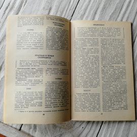 К.С. Петровский, Д.П. Белоусов, А.С. Беляева, Н.Н. Смирнова "Витамины круглый год", 1984г.. Картинка 6
