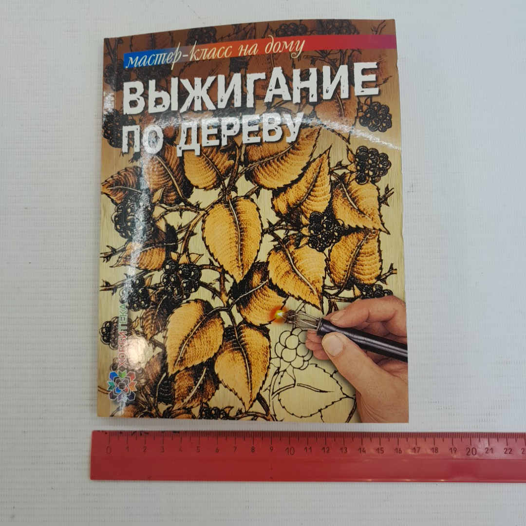 Выжигание по дереву • Мастер класс на дому С.Пул "Аст-Пресс" 2013г.. Картинка 9