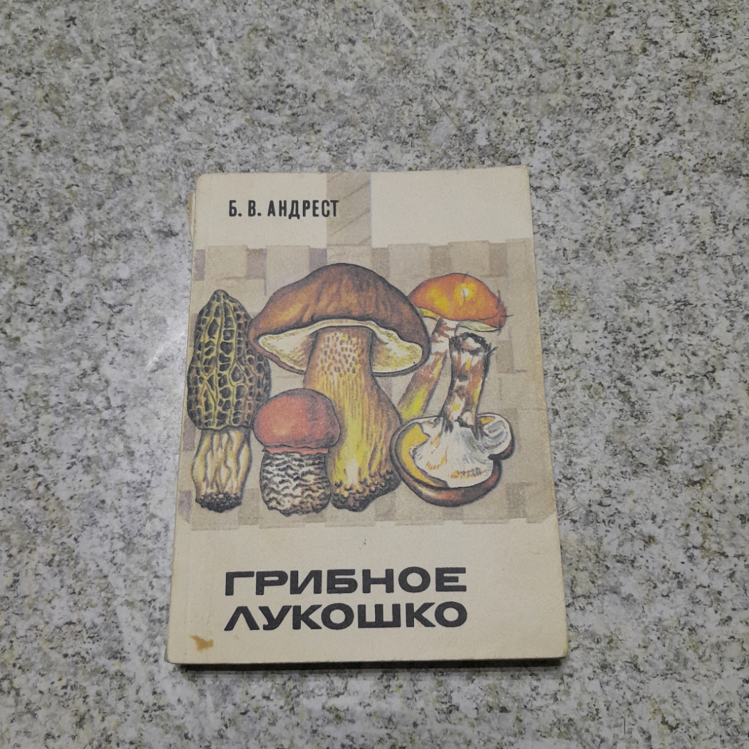 Грибное лукошко изд. 3-е Б.В.Андрест "Лесная промышленность" 1984г.. Картинка 1