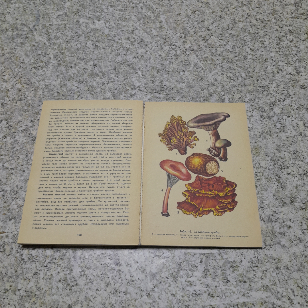 Грибное лукошко изд. 3-е Б.В.Андрест "Лесная промышленность" 1984г.. Картинка 5