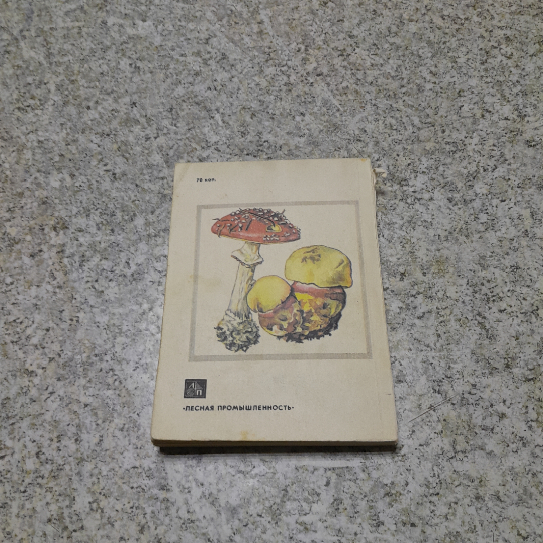 Грибное лукошко изд. 3-е Б.В.Андрест "Лесная промышленность" 1984г.. Картинка 6