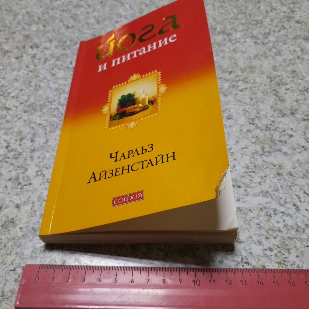 Йога и питание Ч.Айзенстайн "София" 2009г.. Картинка 10