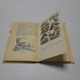 Охота, карманный справочник. Е.В. Кудрявцев. Изд. Лесная промышленность, 1970г. Картинка 4