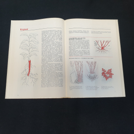 Размножение растений. Ф. Макмиллан Броуз. Издательство Мир, 1987г. Картинка 4