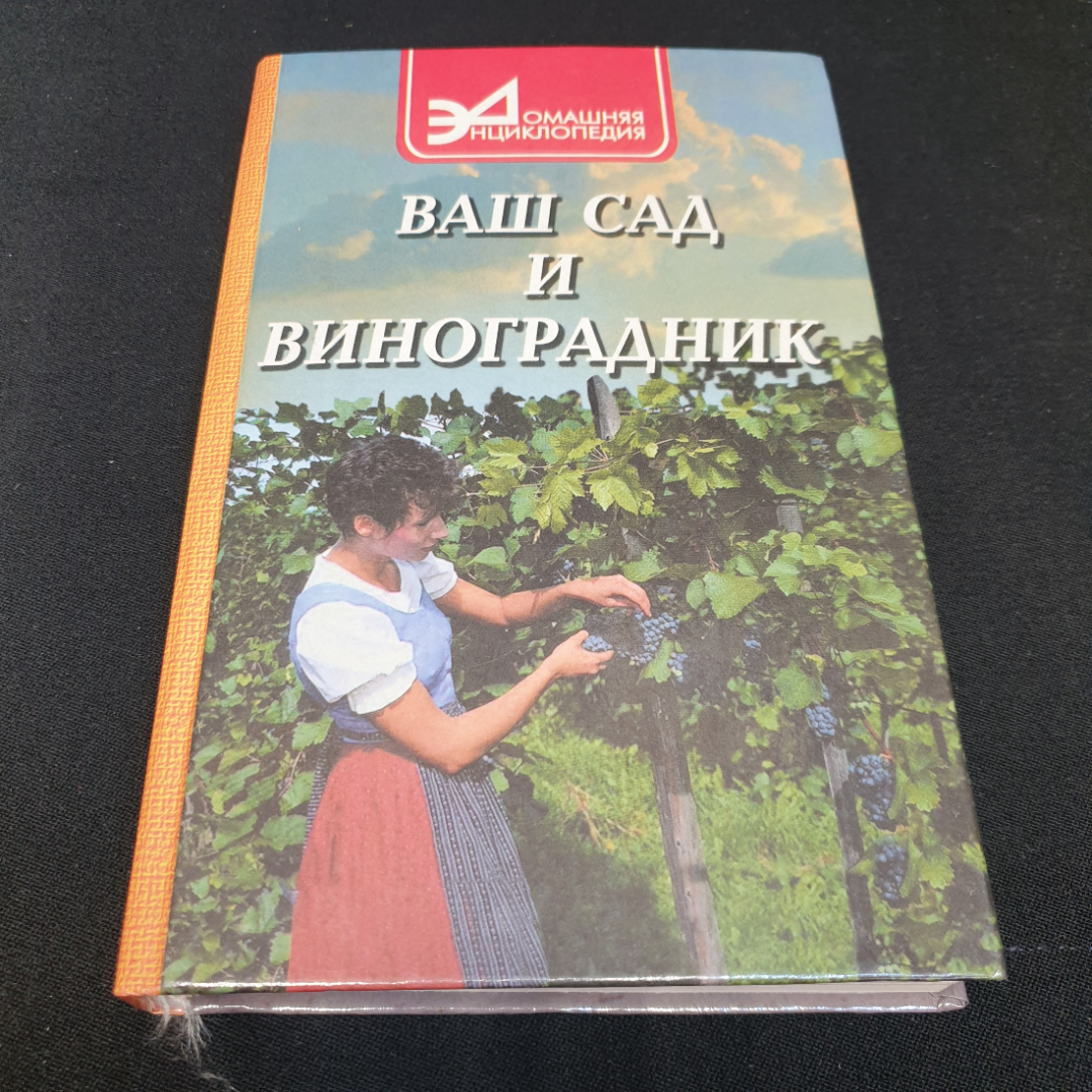 Ваш сад и виноградник.  В.И. Руденко. Издательство Феникс, 2000г. Картинка 1