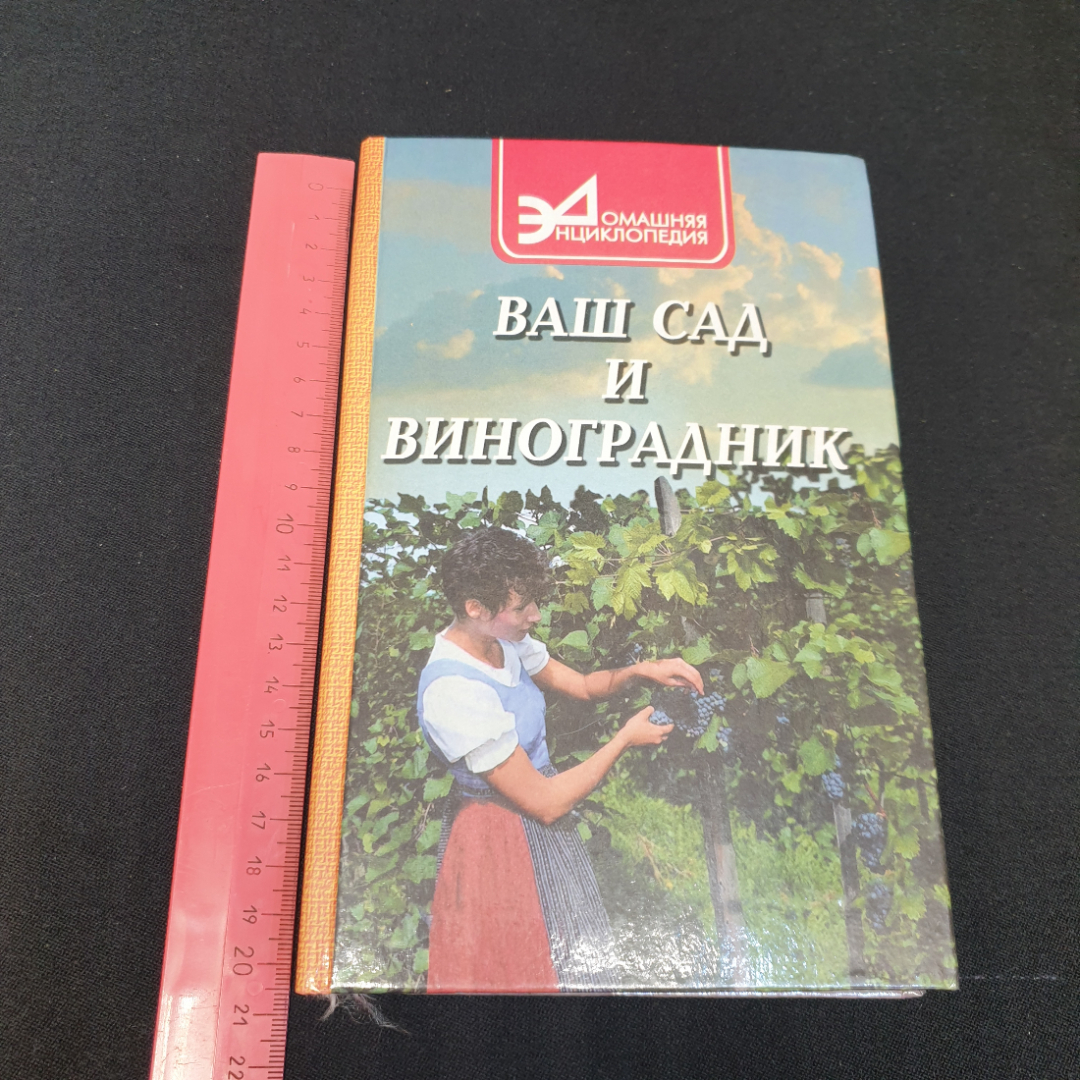 Ваш сад и виноградник.  В.И. Руденко. Издательство Феникс, 2000г. Картинка 9