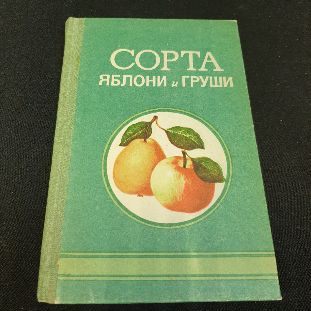 Сорта яблони и груши. Изд. ОГТРК, 1993г. Картинка 1