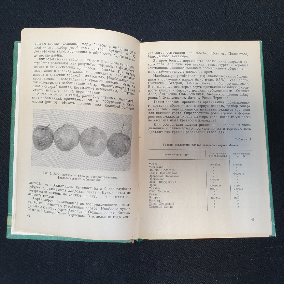 Сорта яблони и груши. Изд. ОГТРК, 1993г. Картинка 3