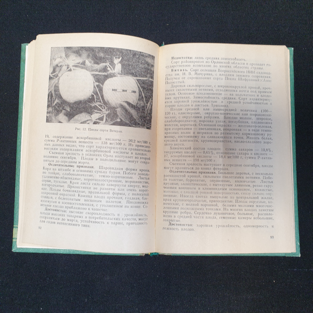 Сорта яблони и груши. Изд. ОГТРК, 1993г. Картинка 4