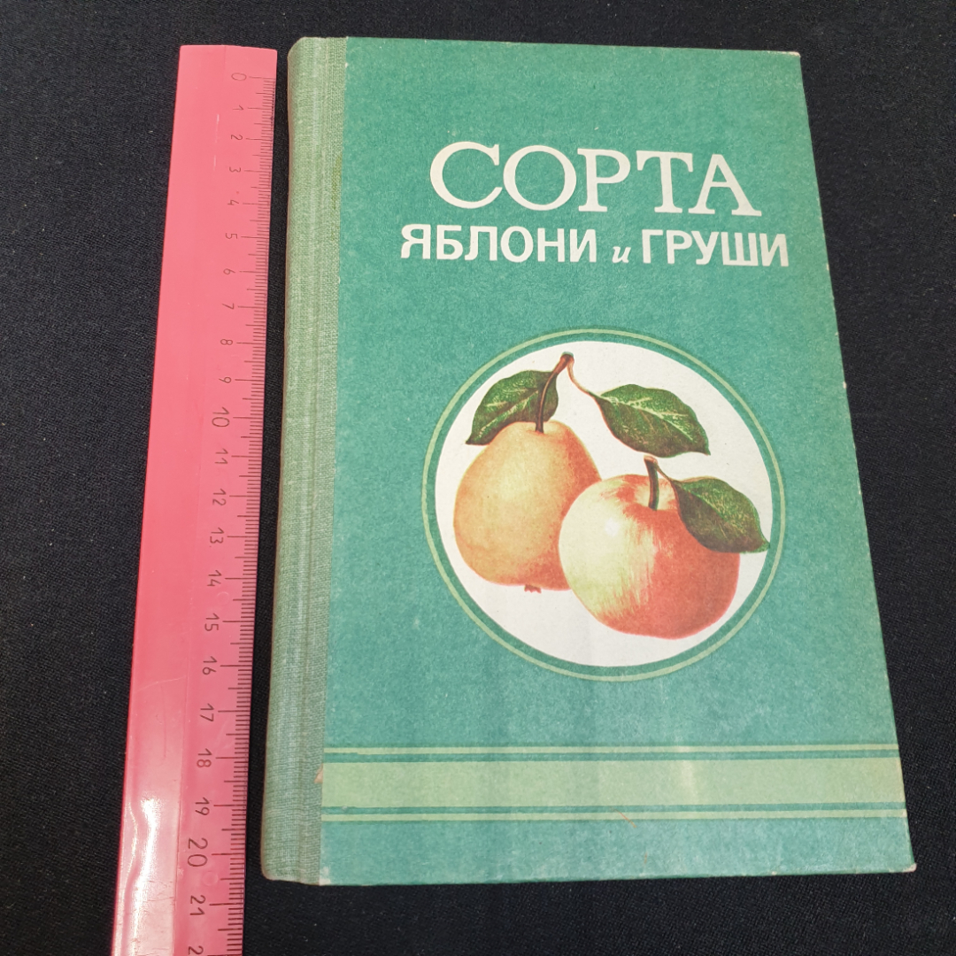 Сорта яблони и груши. Изд. ОГТРК, 1993г. Картинка 11