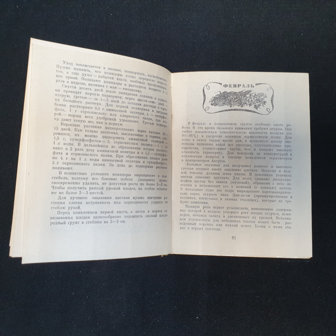 Календарь овощевода. Я.Х. Пантиелев. Россельхозиздат, 1981г. Картинка 4