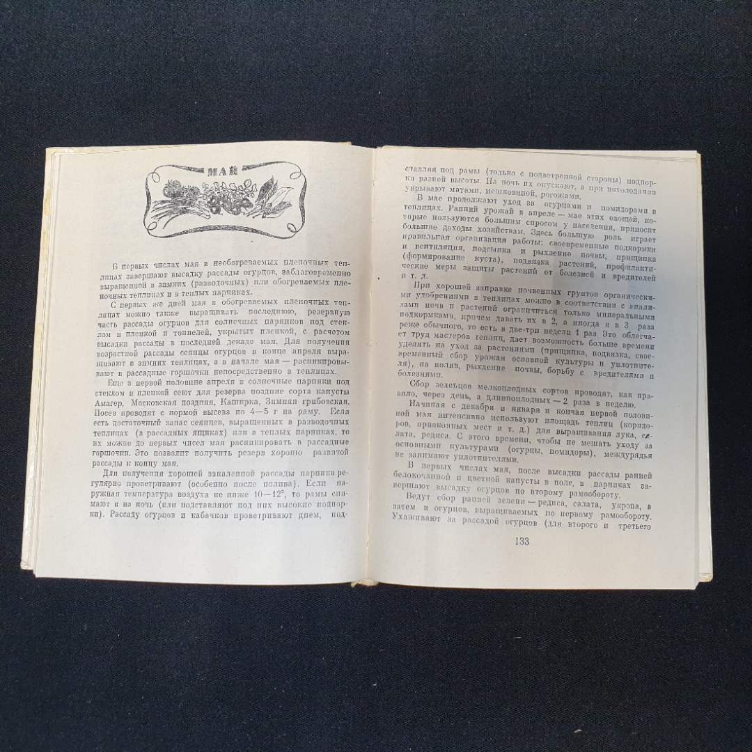 Календарь овощевода. Я.Х. Пантиелев. Россельхозиздат, 1981г. Картинка 5