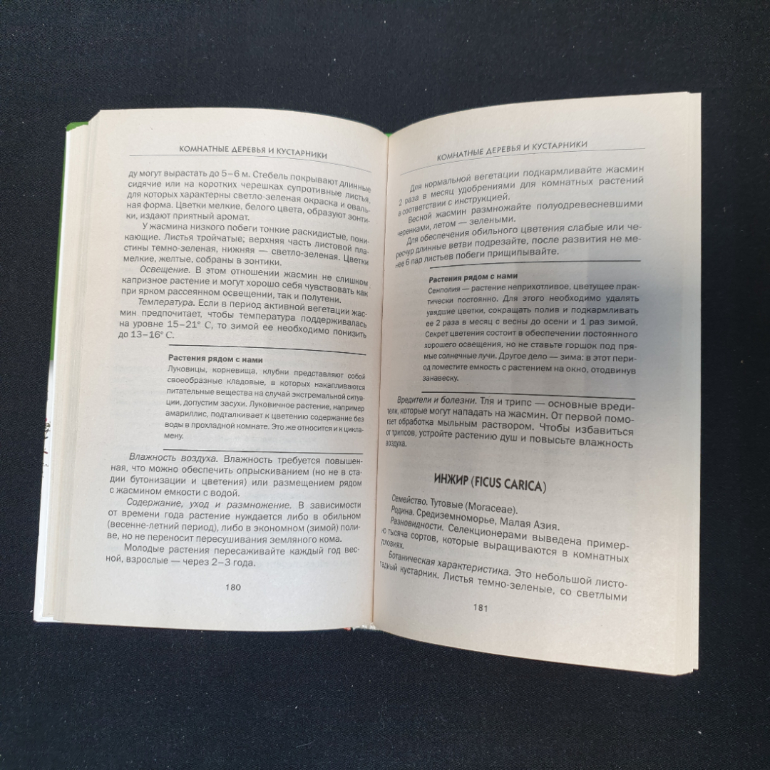 Комнатные деревья и кустарники. Серикова Г.А. Издательство Рипол классик, 2011г. Картинка 4