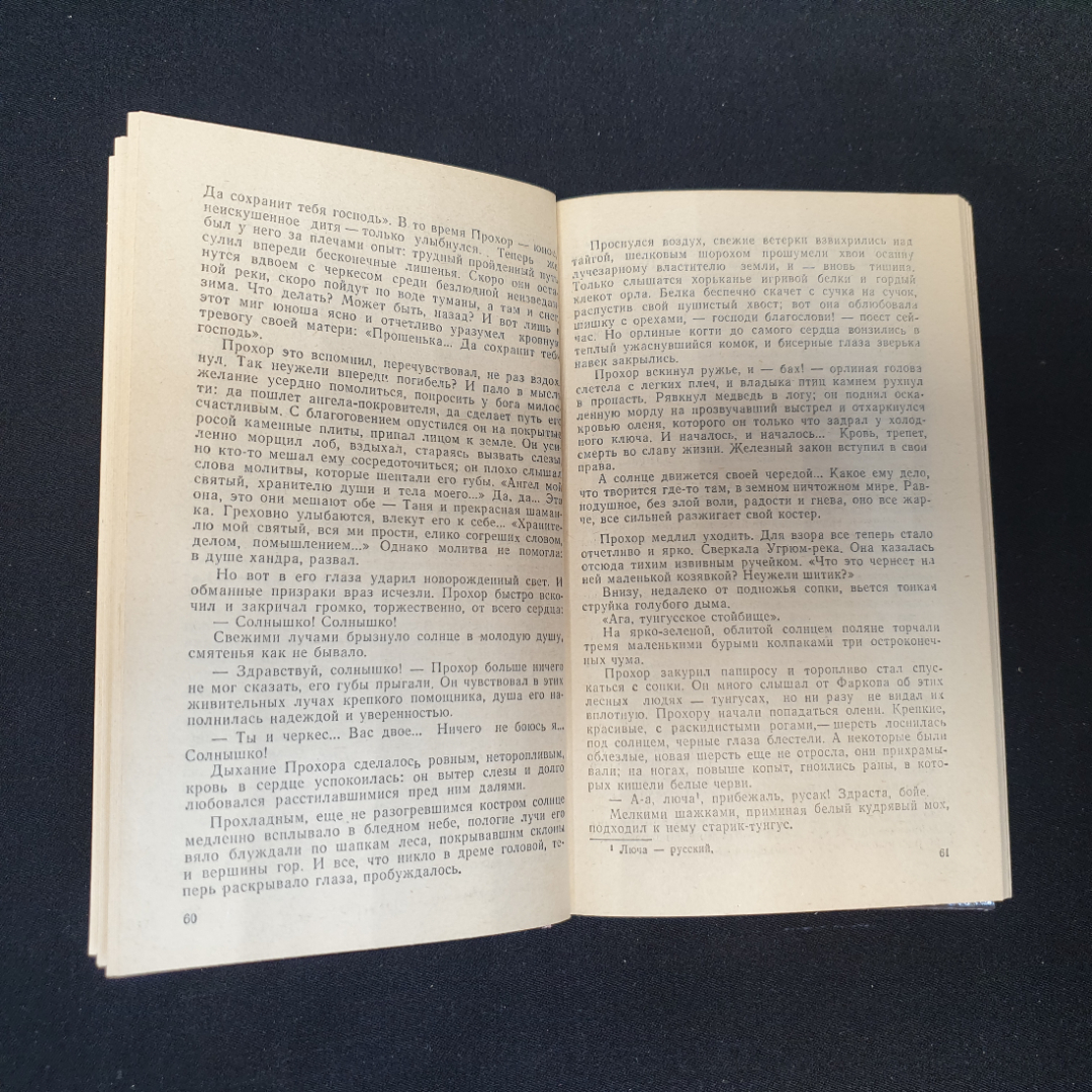 Вячеслав Шишков. Угрюм-река, роман в двух томах, том 1. Рипол, 1993г. Картинка 3