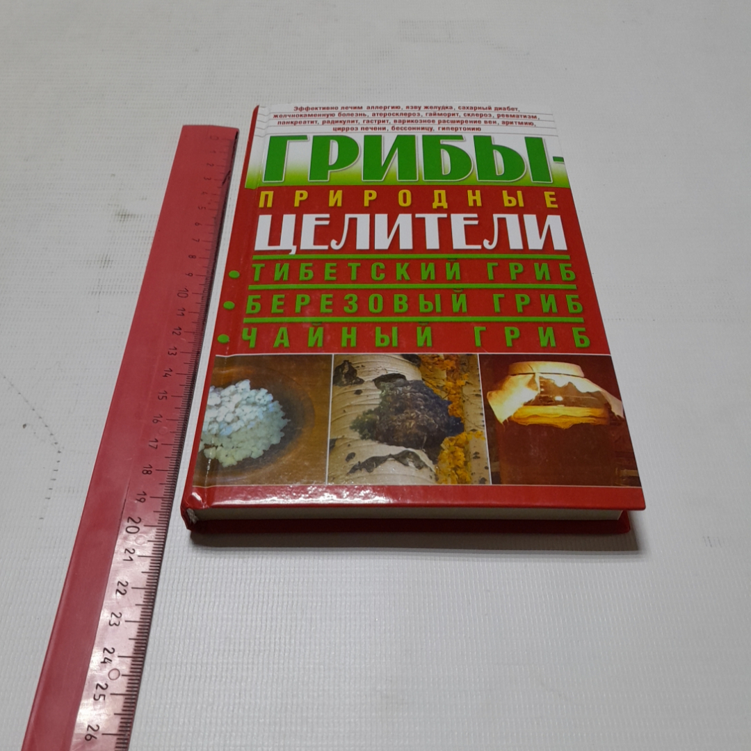 Грибы-природные целители. А. Оксёнов. Донецк, 2014г. Картинка 9