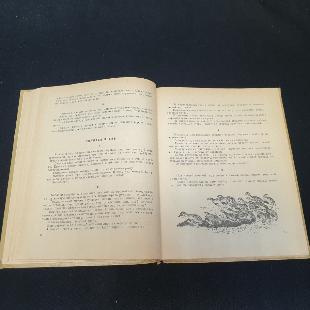 От весны до весны. И. Соколов-Микитов, Детская литература, 1967г. Картинка 3