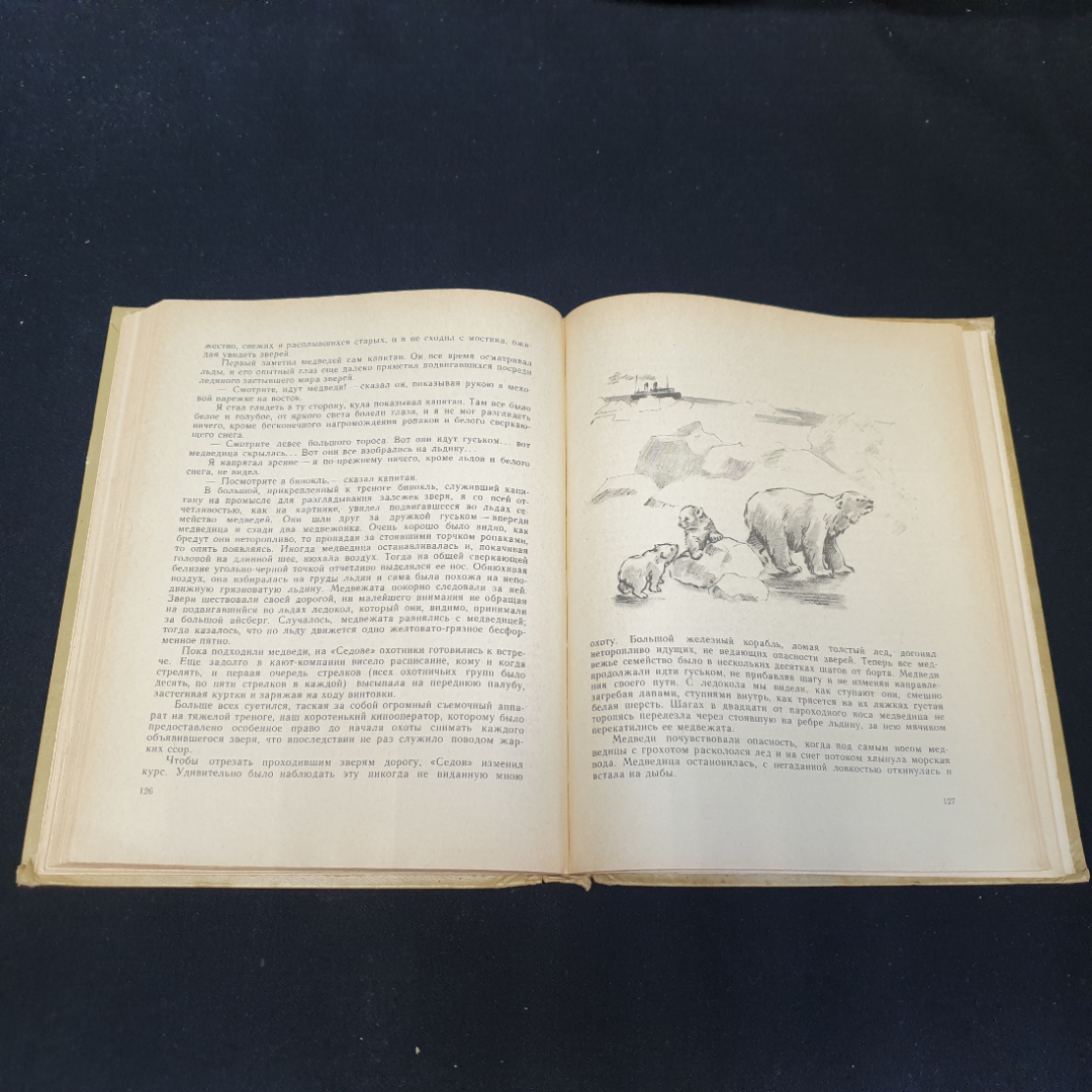 От весны до весны. И. Соколов-Микитов, Детская литература, 1967г. Картинка 4