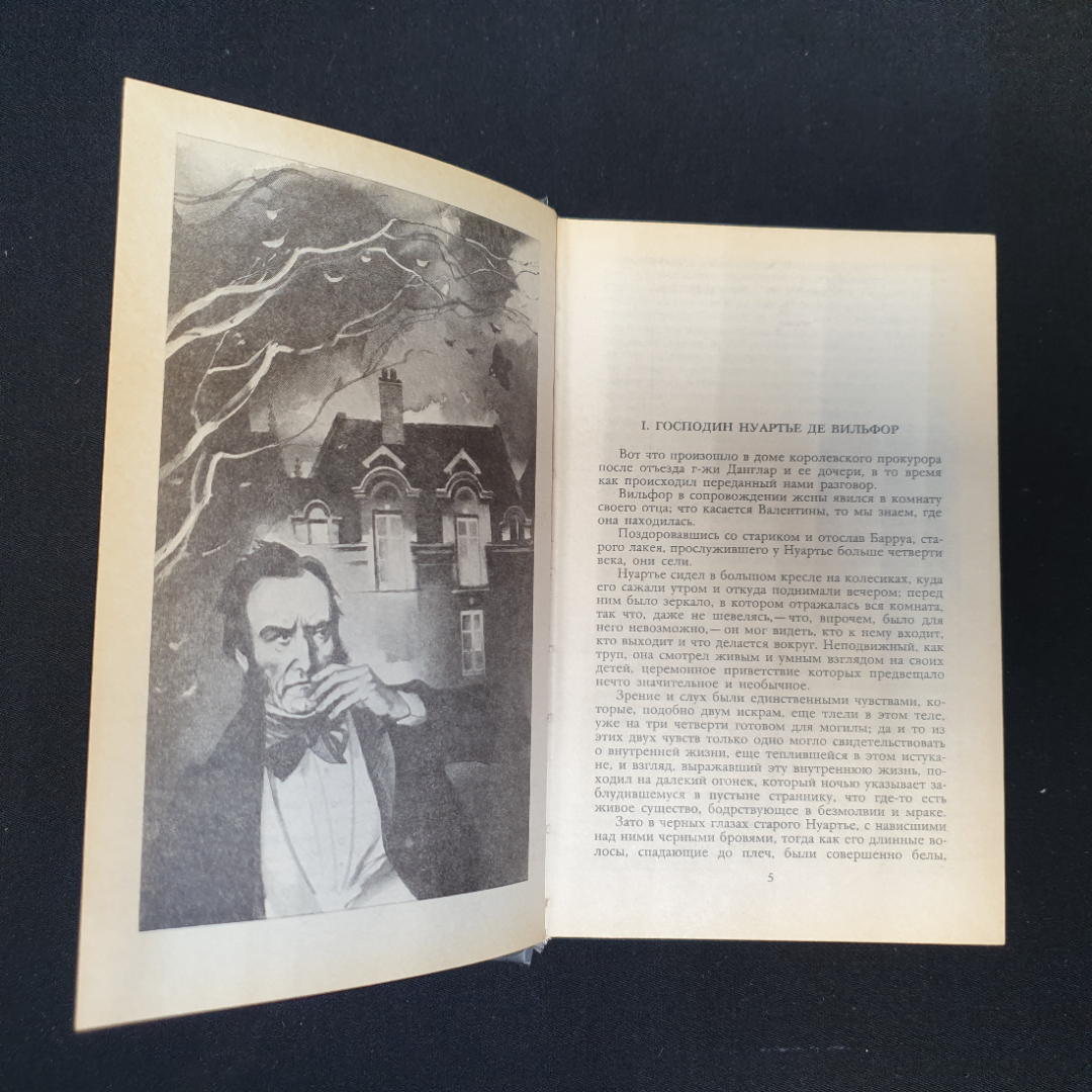 Александр Дюма, Граф Монте-Кристо, Т. 1-2, 1989 г.. Картинка 9