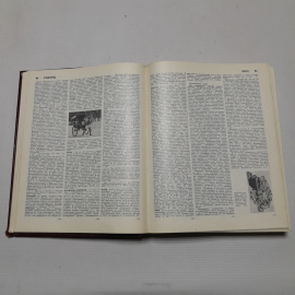 Большая советская энциклопедия (22 ремень - сафи), Москва, 1975 г. Картинка 3