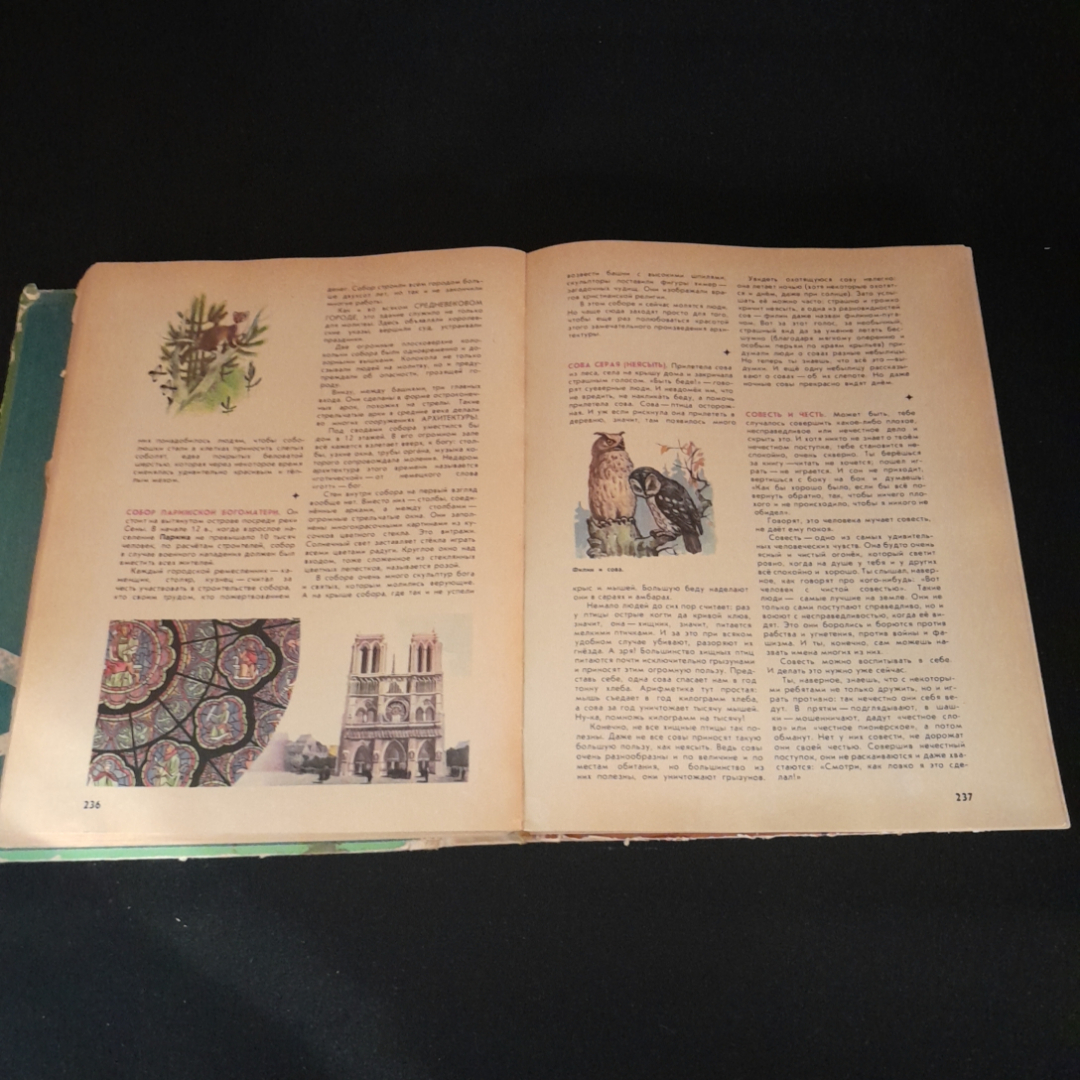 Что такое? Кто такой? Том 2. Издательство Просвещение, 1968г. Картинка 4