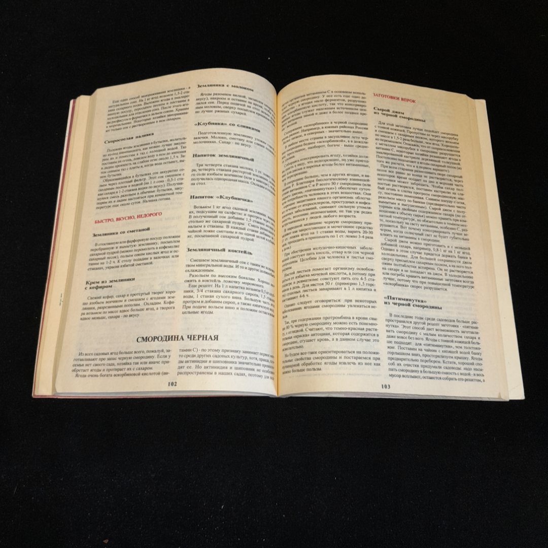 Дачные припасы. Л.С. Исаченко. Изд. Сельская новь, 1995г. Картинка 4