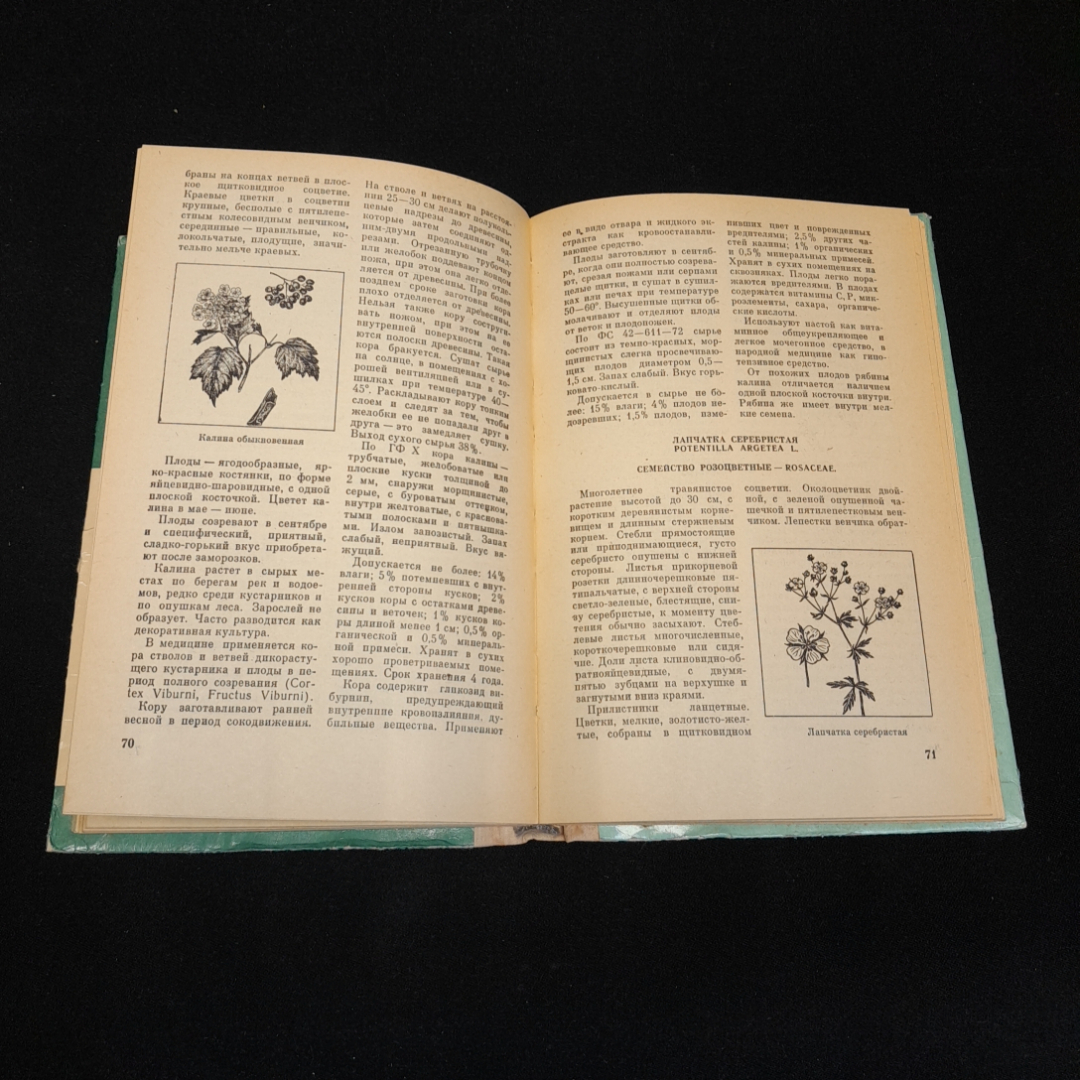 Лекарственные растения приокской зоны. А.С. Резникова, В.И. Лернер. 1979г. Картинка 4