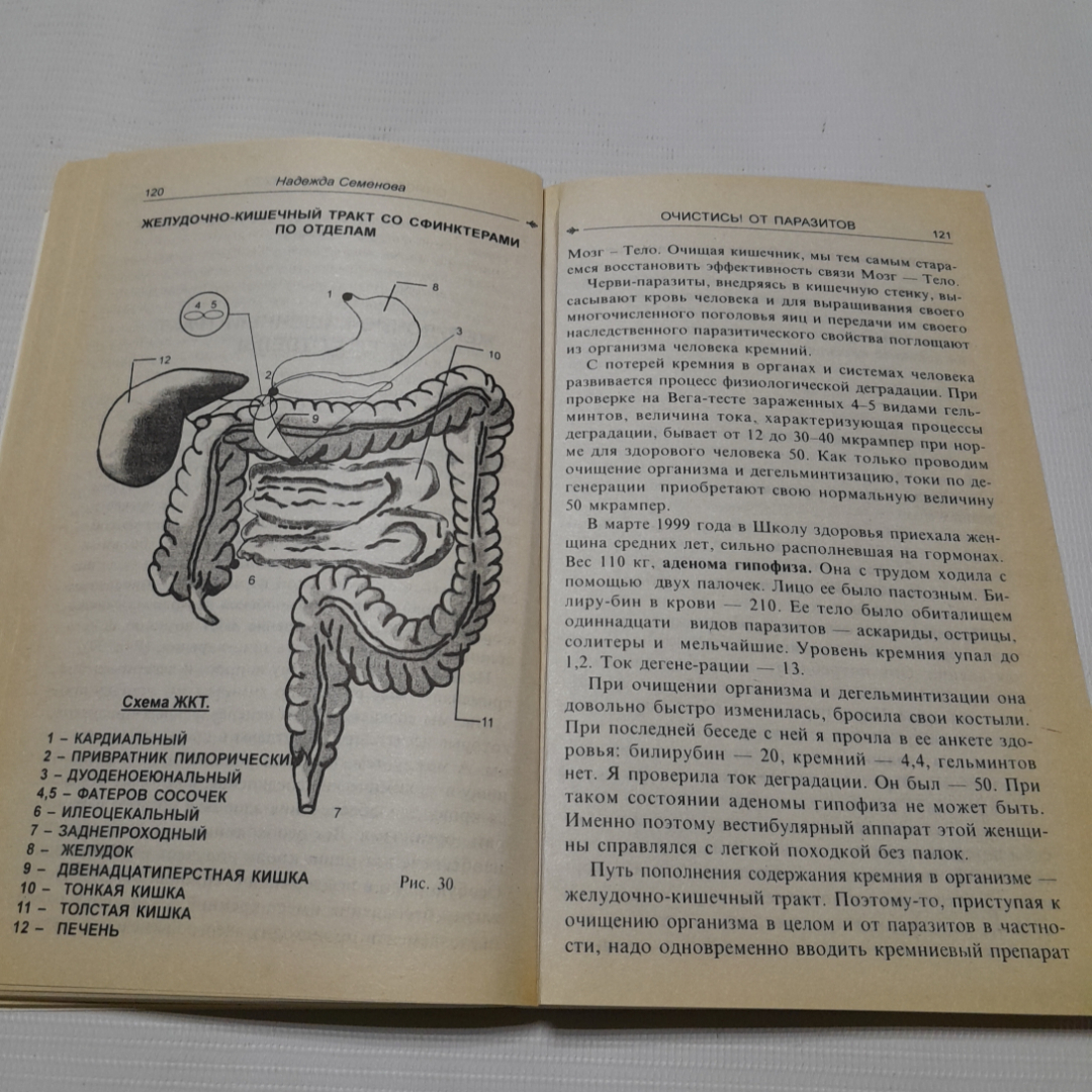 Очистись! От паразитов. Надежда Семёнова. Изд. Диля, 1999г. Картинка 4