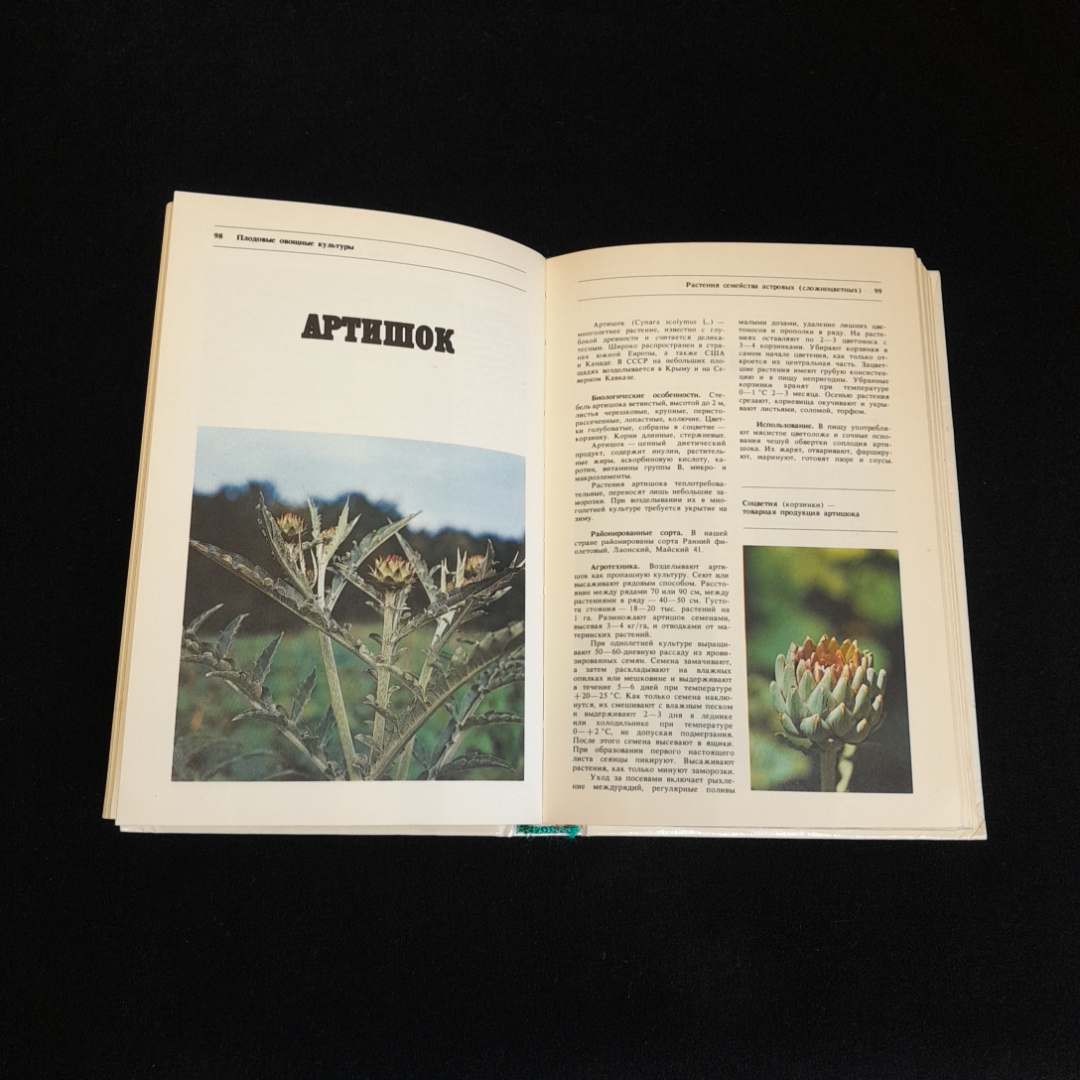 Овощные культуры. Альбом-справочник. Изд. Агропромиздат, 1988г. Картинка 4