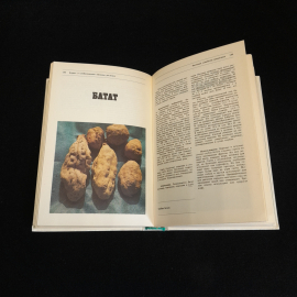 Овощные культуры. Альбом-справочник. Изд. Агропромиздат, 1988г. Картинка 5