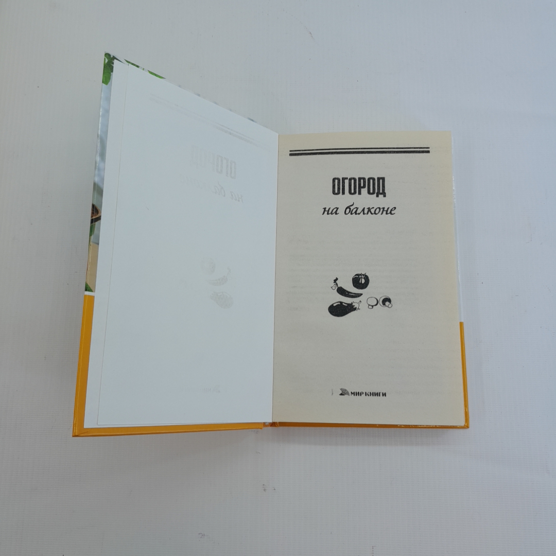 Огород на балконе. Л.П. Попова. Изд. Мир книги, 2009г. Картинка 2